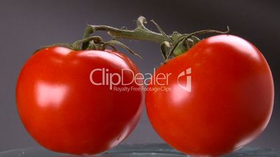 Tomato, closeup, studio shot