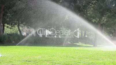 Water sprinkler showering grass