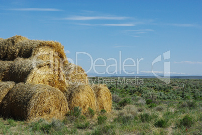 Hay Bales in Montana