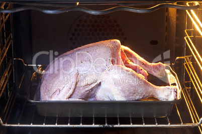 Chicken in oven