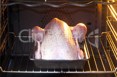 Chicken in oven