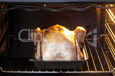 Chicken in oven