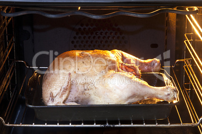 Chicken in oven