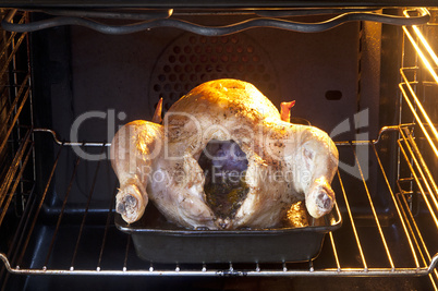 Chicken cooking in oven