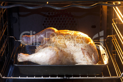 Chicken in oven