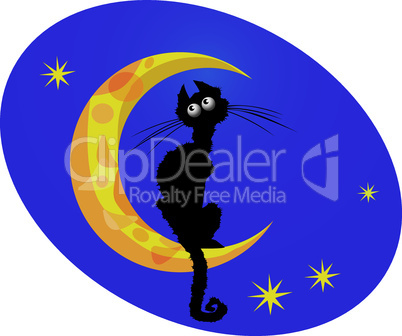 black cat on moon