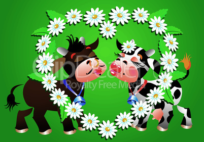 Cartoon kissing cows and camomile border
