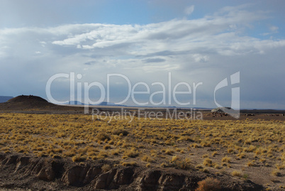 Petrified Forest National Park, Arizona