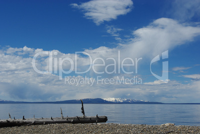 Lonely log,  Lake Yellowstone, Wyoming