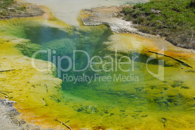 Hot Pool, Yellowstone National Park, Wyoming