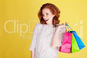 Successful Happy Shopper