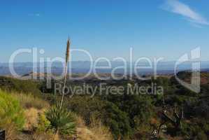 High desert impression, Arizona