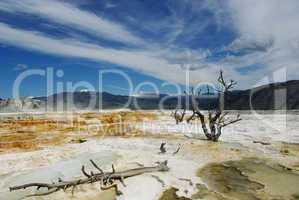 Mammoth Terraces, Yellowstone National Park, Wyoming