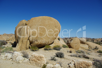 Rock formation, Joshua Tree National Park, California