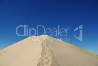 Mojave Desert Dune, California