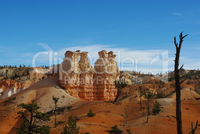 Committee of pondering rock giants, Bryce Canyon National Park, Utah