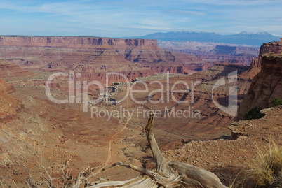 Dry log, abyss, road and mountains, Canyonlands Nationalpark