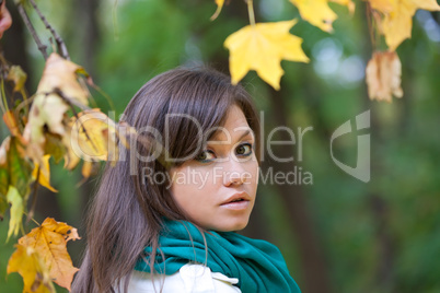 Beautiful woman portrait in autumn forest