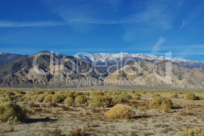 High desert and White Mountains,Inyo National Forest, Nevada