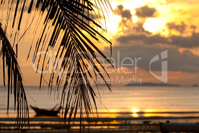 Sunset with palm tree in front and  defocused boat