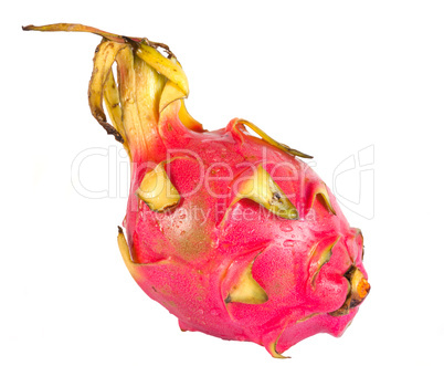 Pitaya, dragon fruit isolated on white background