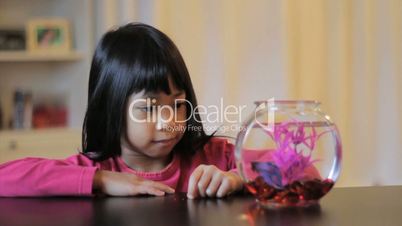 Proud Girl Feeds Her Betta Fish