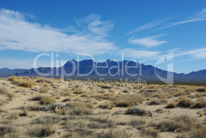 Mojave Dunes and Providence Mountains, Mojave Natural Preserve, California