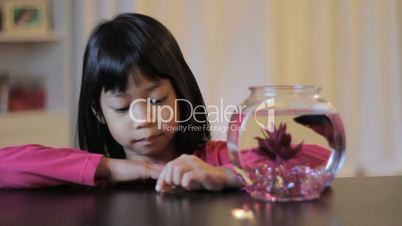 Asian Girl Feeds Her Red Betta Fish