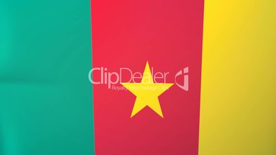 Cameroon Waving Flag