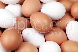 Weisse und braune Eier