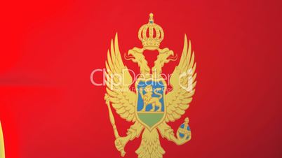 Montenegro Waving Flag