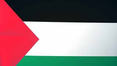 Palestine Waving Flag