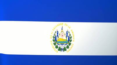 Salvador Waving Flag
