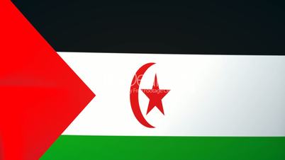 Western Sahara Waving Flag