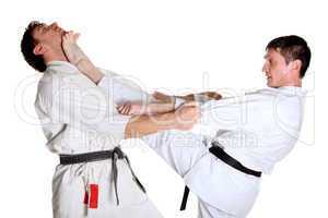 Karate. Men in a kimono with a white background