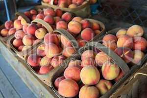 Peaches at the outdoor market in wooden baskets.