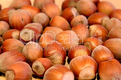 Hazelnuts