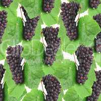 Blue grape with green leaf, isolated on white background