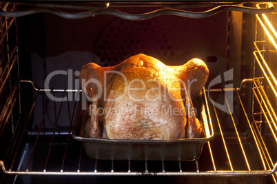 Chicken in oven