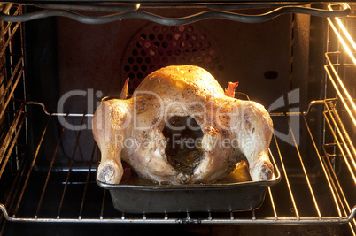 Chicken in oven
