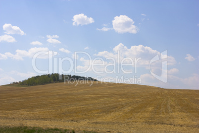 autumn yellow field and the blue sky