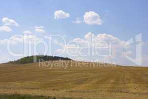 autumn yellow field and the blue sky