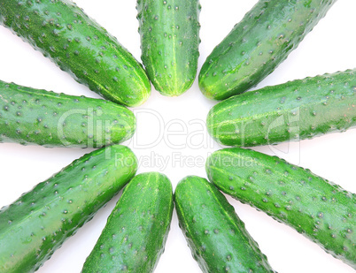 Cucumbers isolated on white background