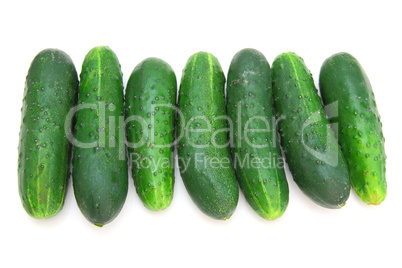 Cucumbers isolated on white background