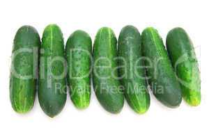 Cucumbers isolated on white background