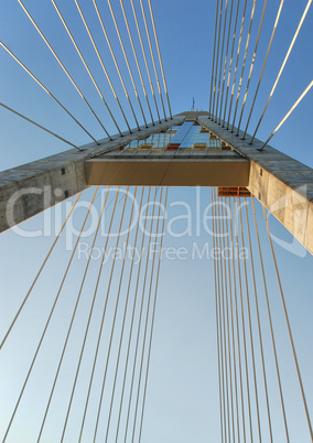 Below a pylon at Megyeri bridge