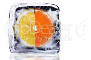 Orange und Zitrone im Eisblock