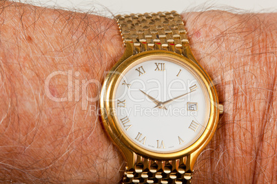 Gold watch with white face on hairy wrist
