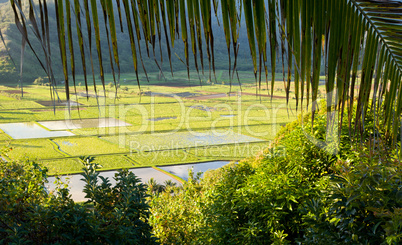 Hanalei Valley in Kauai