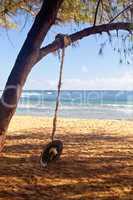 Rope swing on beach by ocean